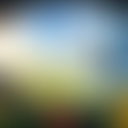 Even five minutes of mindful morning light can be a powerful signal to reset your body's internal clock.