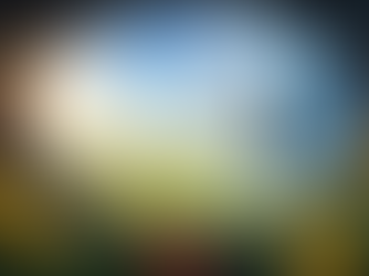 Even five minutes of mindful morning light can be a powerful signal to reset your body's internal clock.