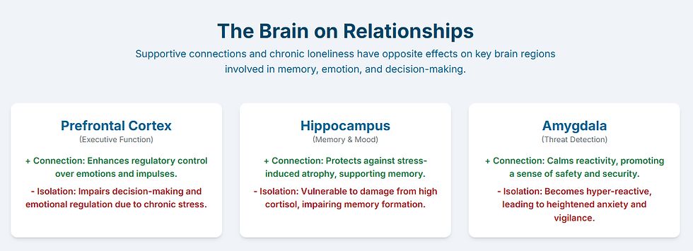 Social connection acts as a powerful buffer, calming the brain's stress response centers.