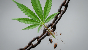 How a Bureaucratic Change Unlocks the Future of Cannabinoid Medicine