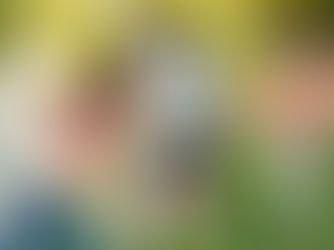 From Stressed to Success: Practical Tips for a Thriving Work Environment