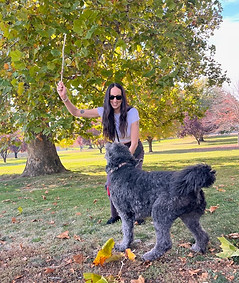 Woman playing fetch with large black dog, stick in autumn park.