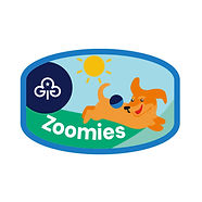 Zoomies dog badge