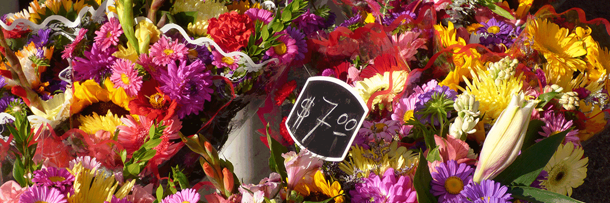 FreshReadyBanner3.gif