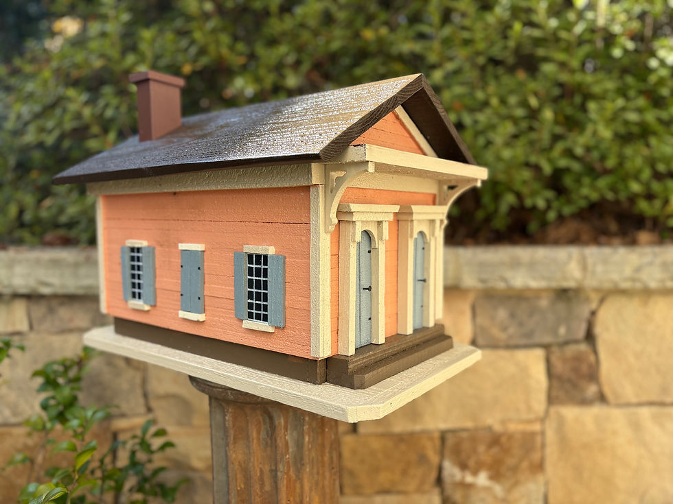 Thumbnail: #111 New Orleans Shotgun House
