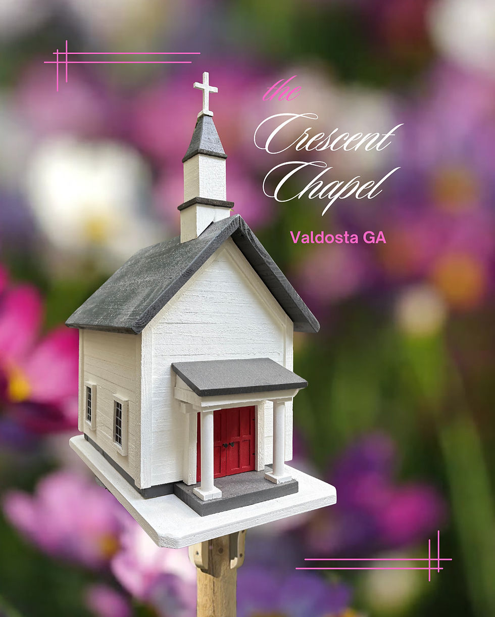 Thumbnail: # 538 Crecent Chapel Valdosta GA
