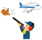 airplane_bird_patrol.png
