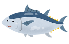 fish_maguro.png