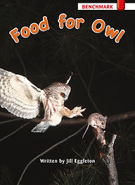 Food for Owl