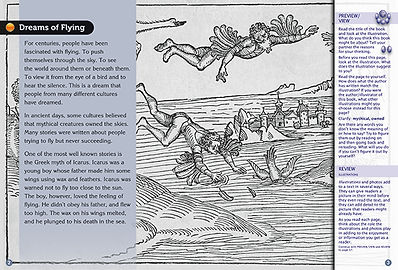 On the Wings of a Bird