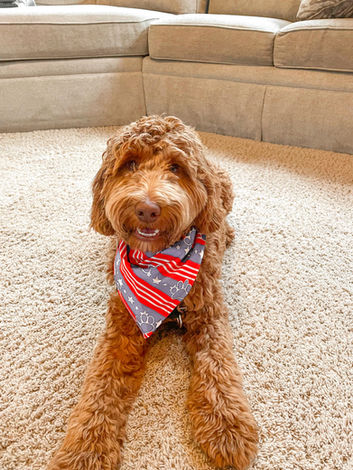 unnamed - 2022-09-06T132240.136.jpg