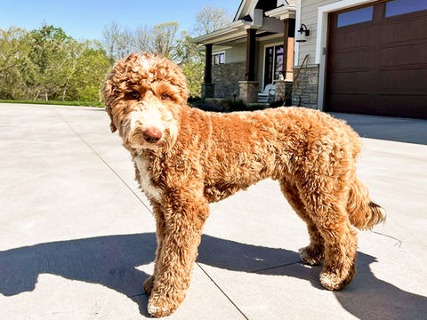 unnamed - 2022-09-06T132146.027.jpg