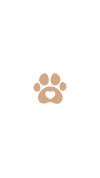Copy of Copy of Copy of Copy of Untitled (1).png