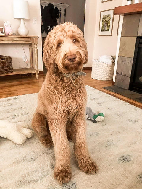 unnamed - 2022-09-06T132139.819.jpg