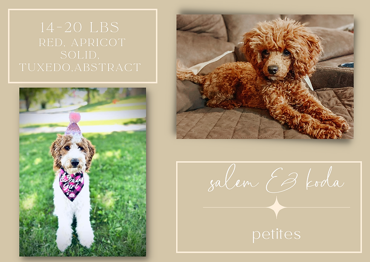 Copy of Copy of Copy of Gold White Photo Simple Christmas Card (10).png