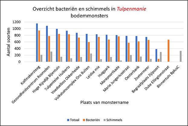 Plaatje Tulpenmanie resultaten.png