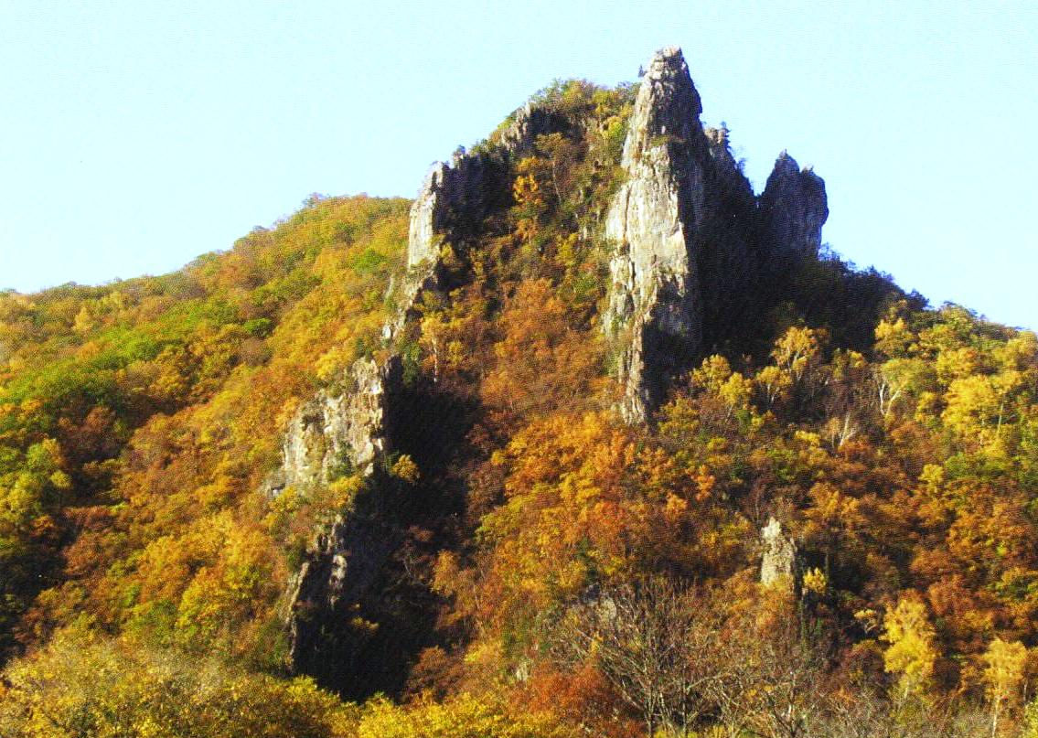 Russian Federation	766	Central Sikhote-Alin