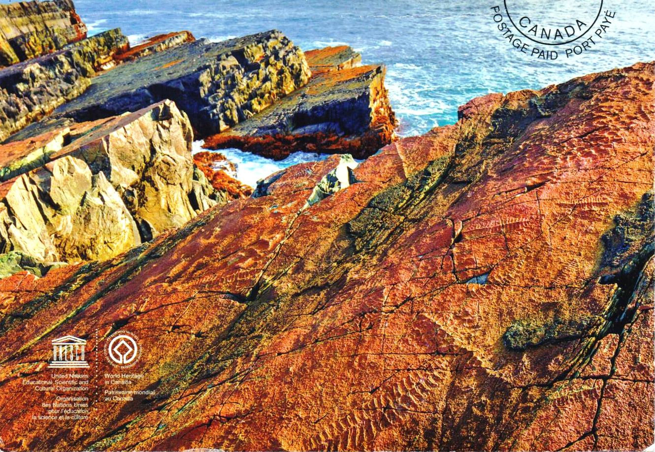 Canada	1497	Mistaken Point