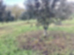 thumbnail_IMG_5859.jpg