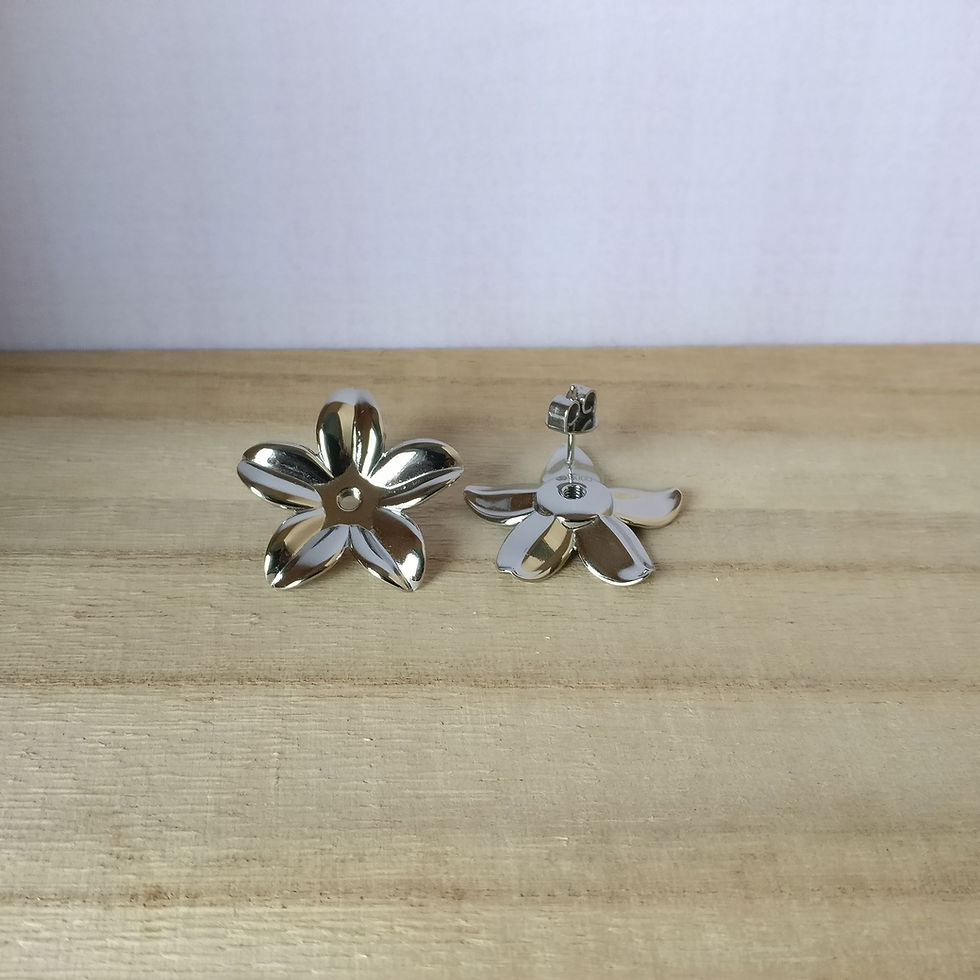Thumbnail: Pescia oorstekers zilver