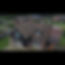 Snapshot_751.JPG