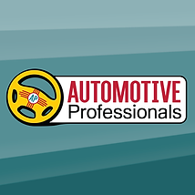 automotive_professionals.png