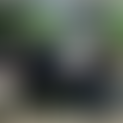 EverTree+ 精準碳匯平台正式啟動，邁向系統化永續實踐