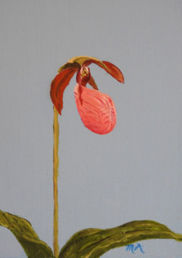 MAlexanderLady Slipper.jpeg