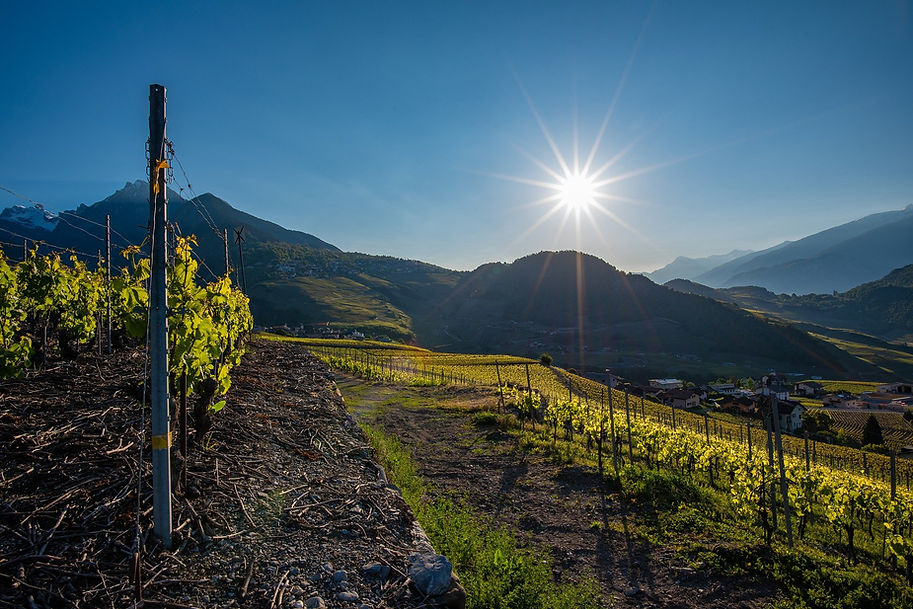 Canton_of_Valais.jpg