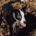 COMTE040224-37.jpg