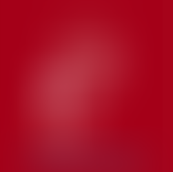 Nantucket Project logo.