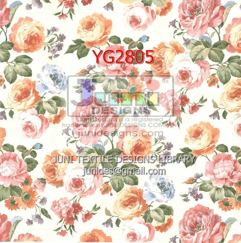 YG2805