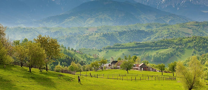 landscape1.jpg