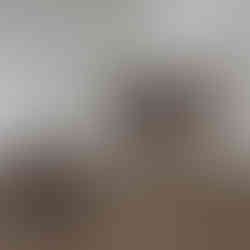 Kater mit geschlossenen Augen