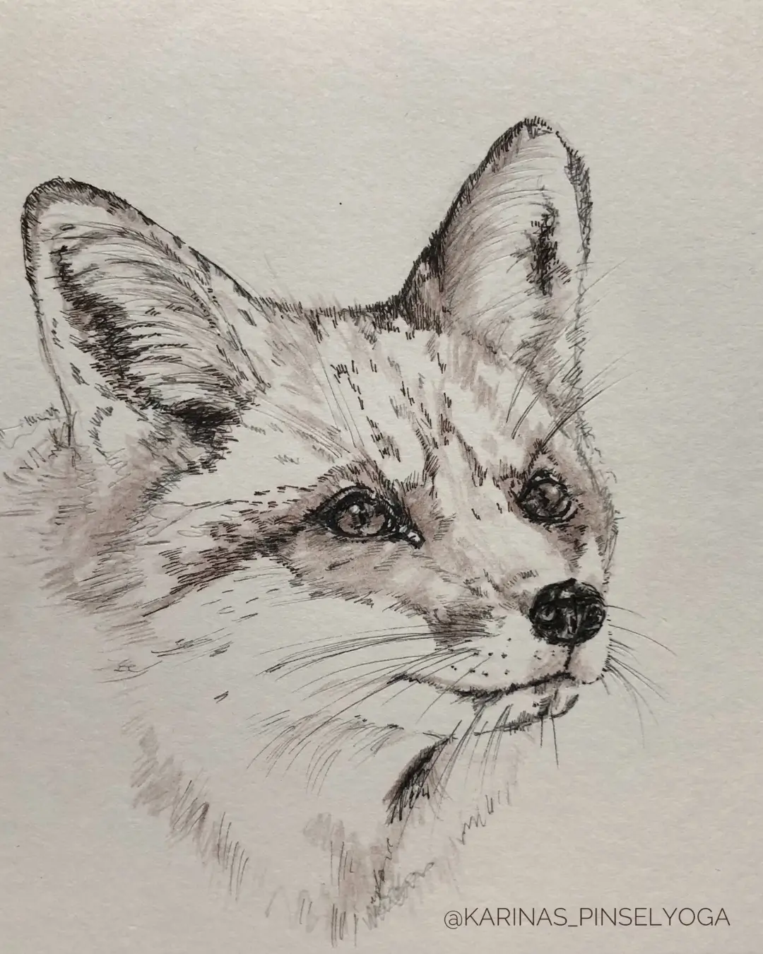 Illustration Fuchs