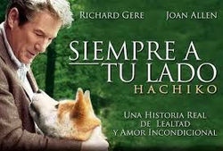 descarga (2)