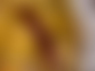 Easy Ground Meat & Potato Skillet with Fresh Tomato Sauce