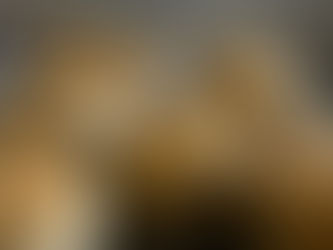 Flaky Homemade Breakfast Biscuits (Perfect for slow mornings)