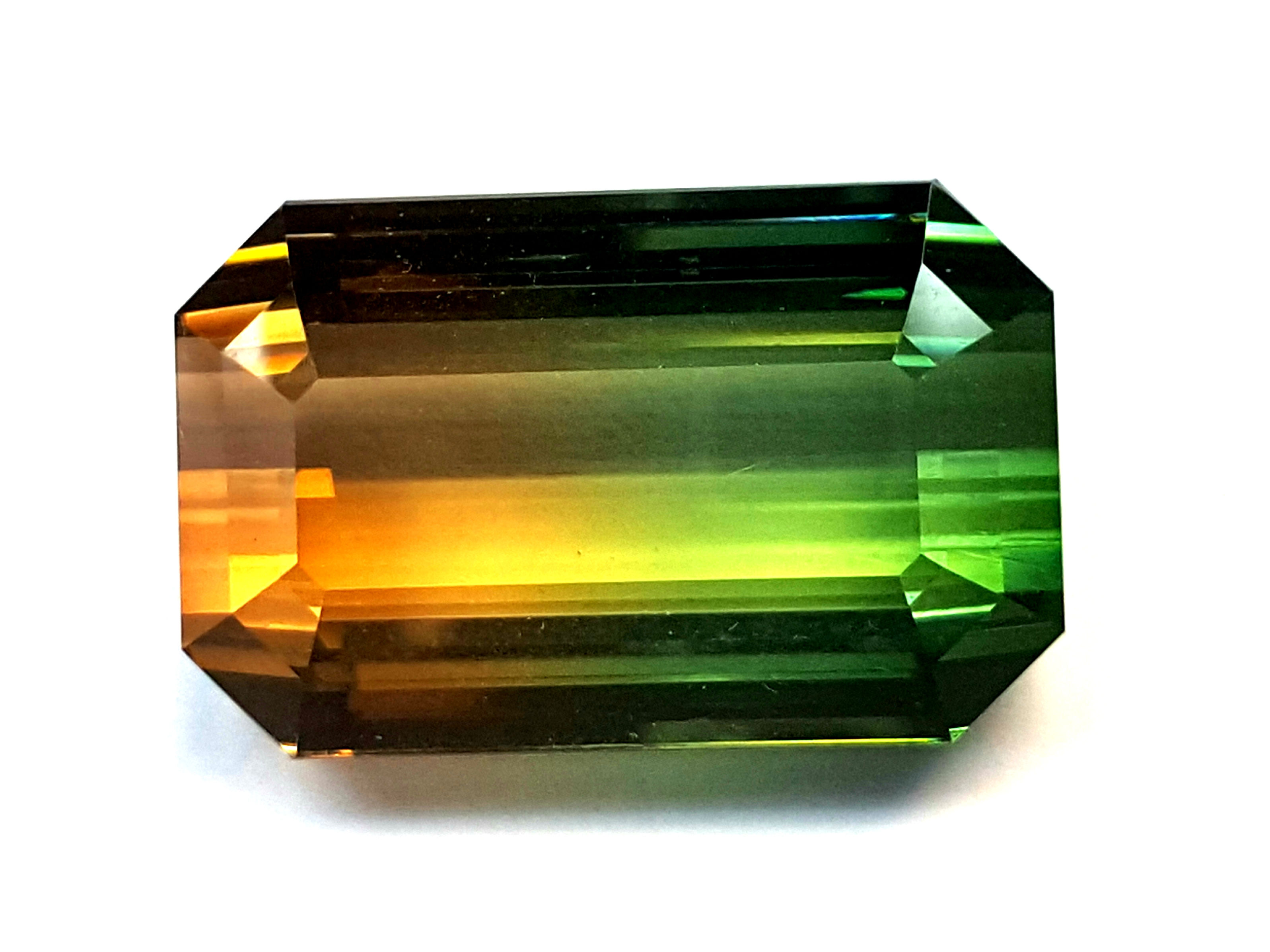 Premium- 61.39 ct Bi Color Tourmaline Loose Gemstone from Mozambique