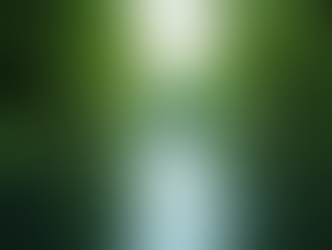 Exploring Brisbane School Camp Options: Your Ultimate Guide to Outdoor Adventures