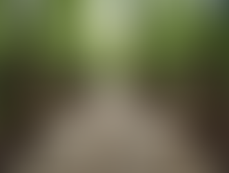 Best Primary School Camp Ideas in QLD