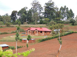 Kitale orphanage program