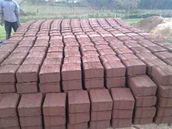 Kitale Orphanage Project