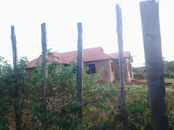 Kitale orphanage program