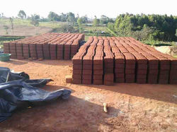 Kitale Orphanage Project