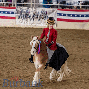 Laurel equestfest-23-MyBurbank-APG-19-scaled.gif