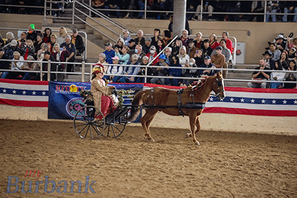 Karen equestfest-23-MyBurbank-APG-18-scaled.gif