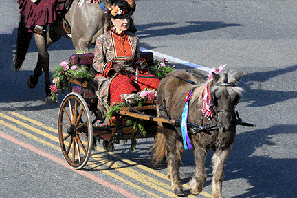 Susie in 2024 Rose Parade.gif