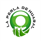 10 LOGO COMPACTO.png