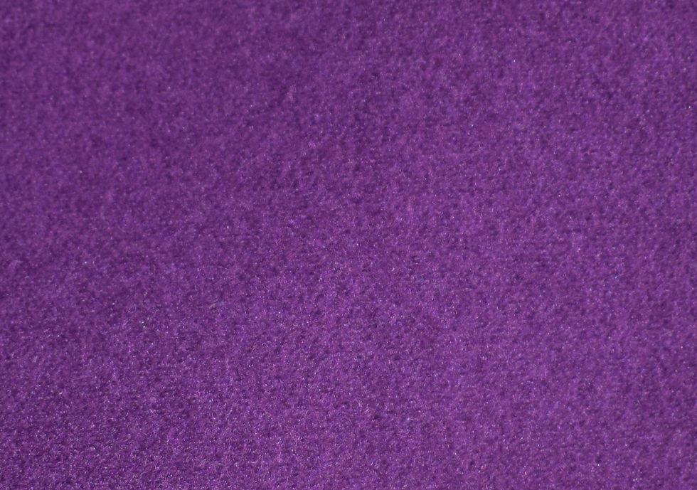 Miniatura: PRIMER INVIERNO NEGRO